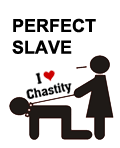Contrat de chasteté = Perfect slave